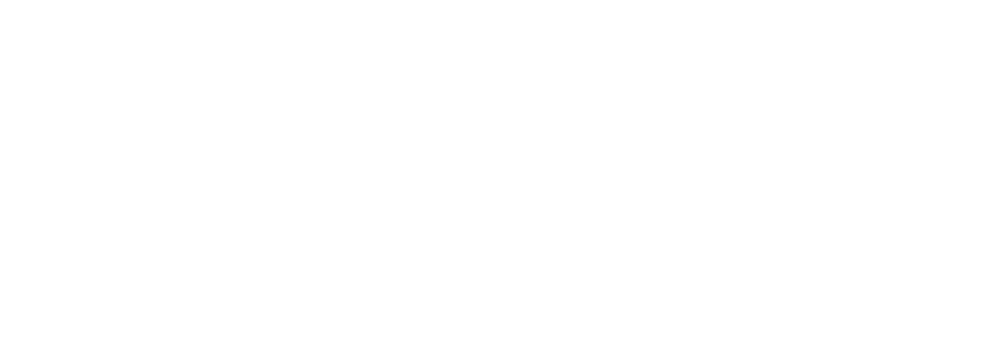 nuxebag logo white